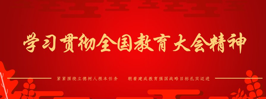 聚力体教融合 淬炼青春担当